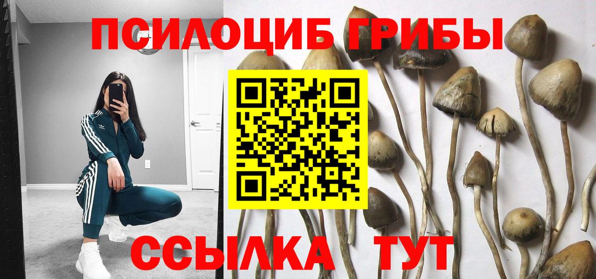 где купить наркоту  Галлюциногенные грибы Psilocybine cubensis  Псилоцибиновые грибы Magic Shrooms  Вход с VPN  Южно-Сахалинск 